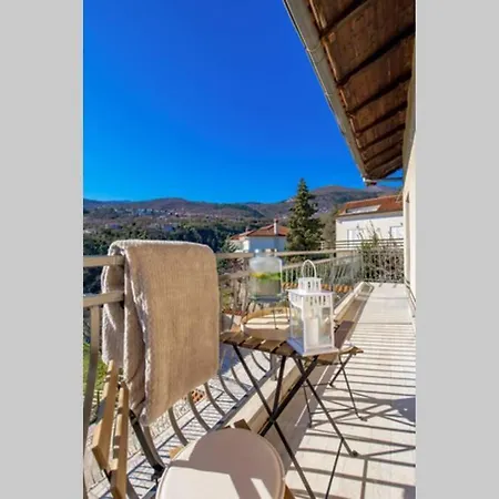 Big Family By Commodore Apartament *